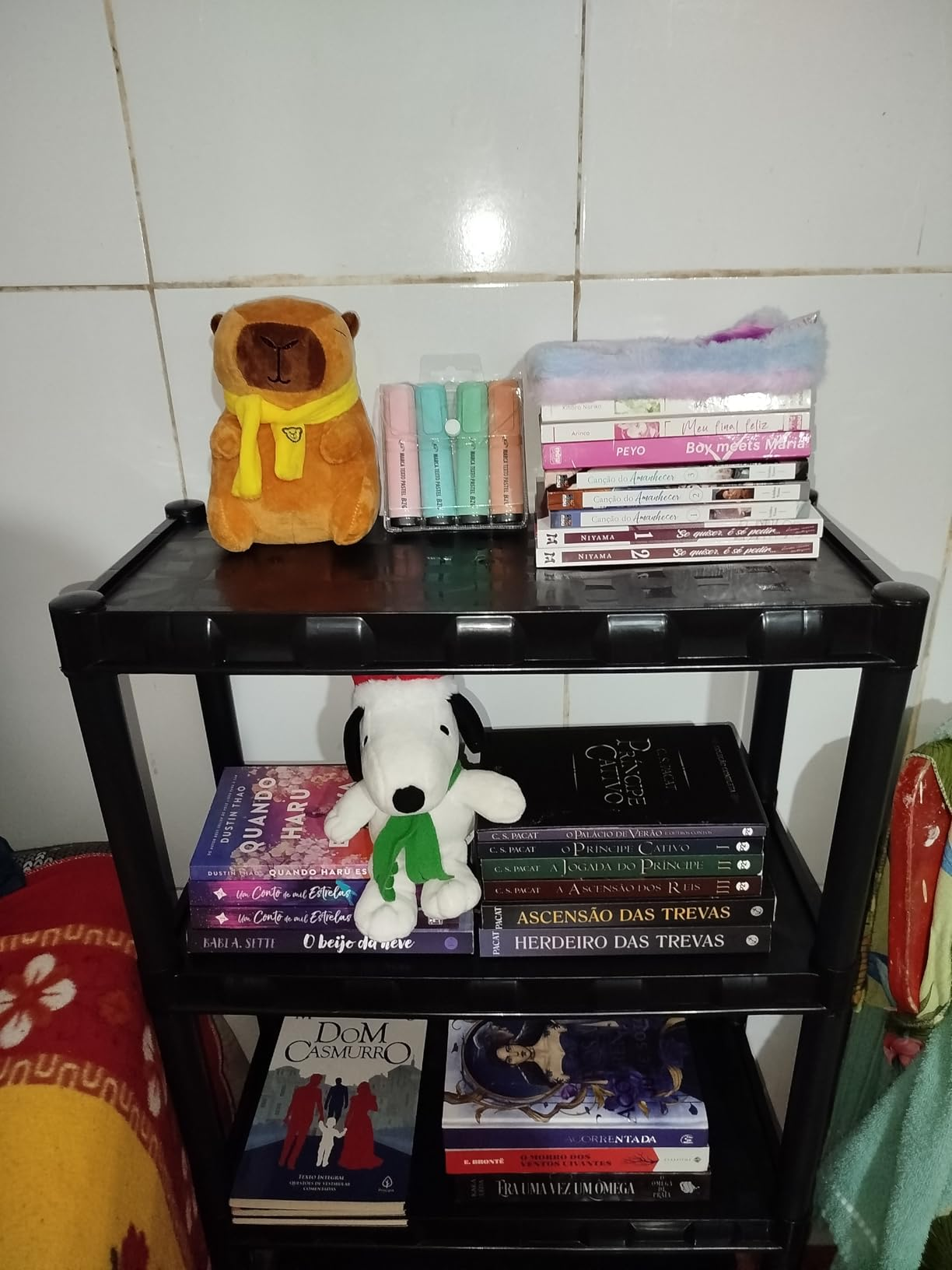 Foto enviada por cliente: estante preta organizada com livros e pelúcias